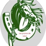 Logo Pronos Léon – pronostics turf PMU